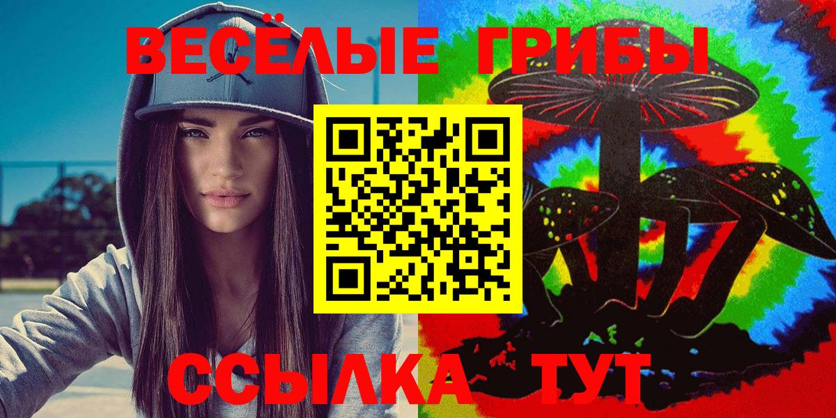 Псилоцибиновые грибы Psilocybe  Вход с VPN  Зеленогорск 